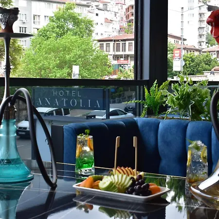 Otel Anatolia 4*
