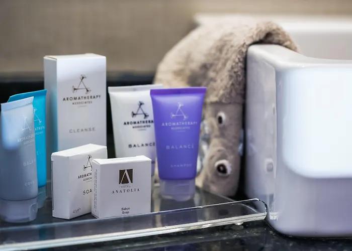 Anatolia Отель Бурса